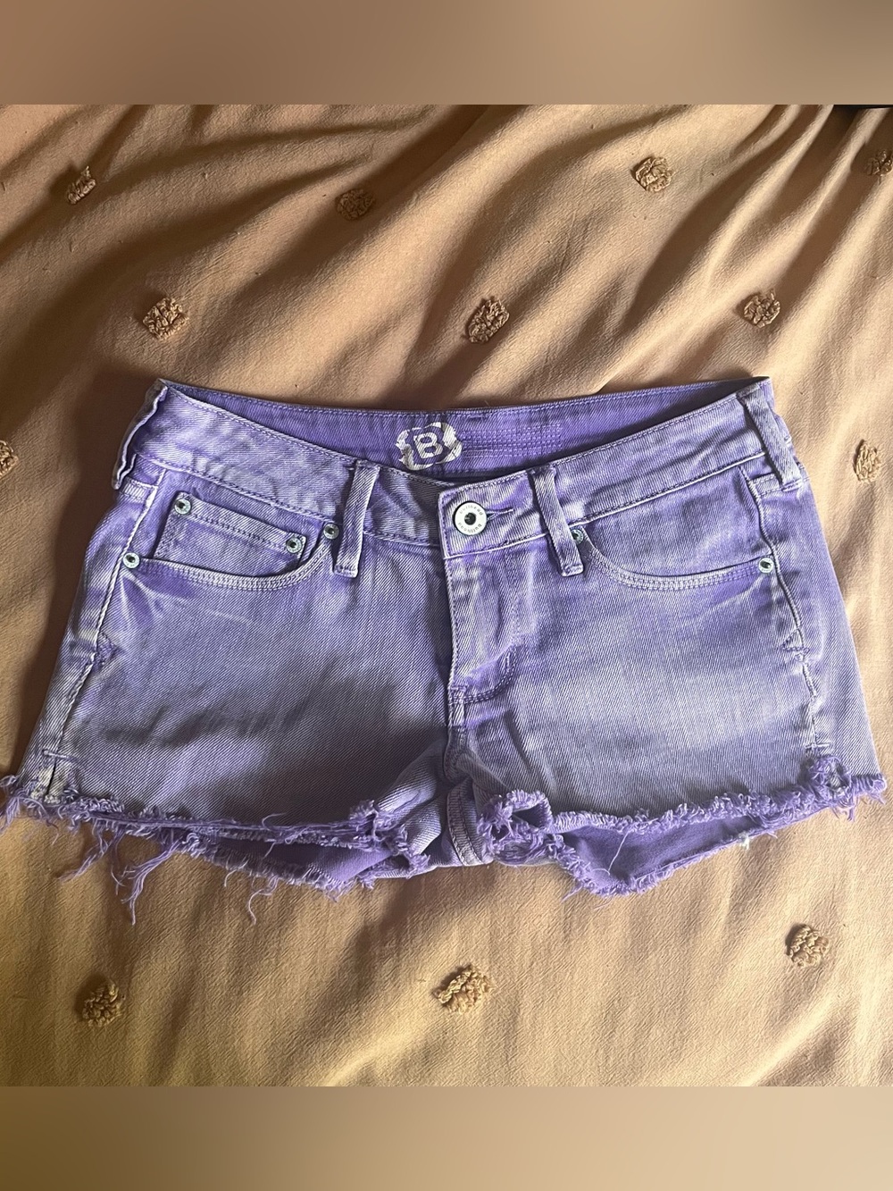 Bullhead vintage frayed purple shorts